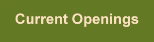 Current-Openings