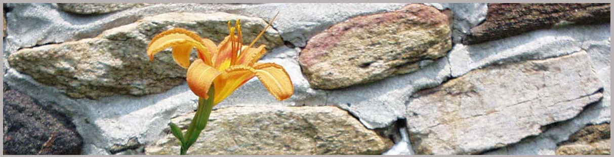 Countryside Consulting - Links for Useful Resources Picture